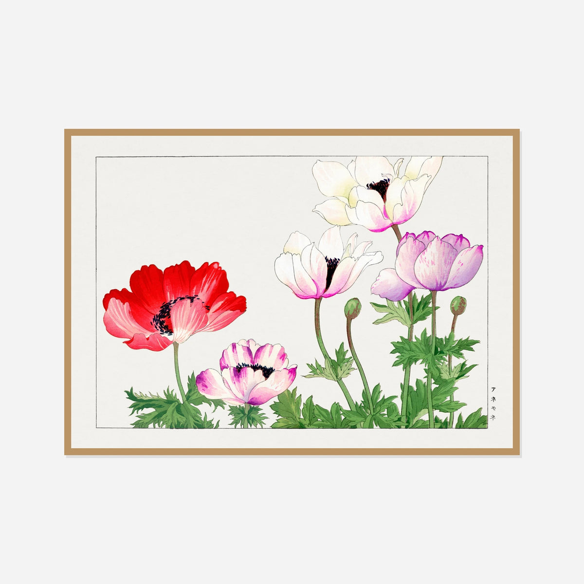 Poppies in Red, White and Pink — front view in a natural wood frame