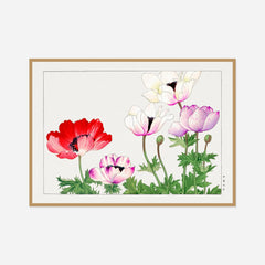 Poppies in Red, White and Pink — front view in a natural wood frame