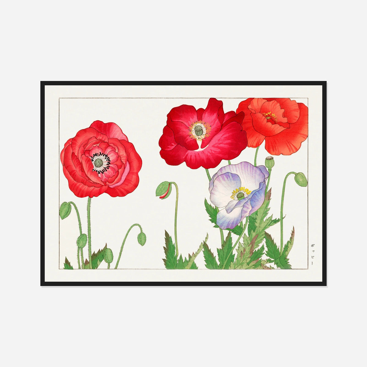 Red Poppies — front view in a black frame
