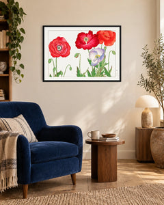 Red Poppies — styled room visualisation in a black frame