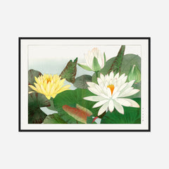 White and Yellow Water Lilies — front view in a black frame