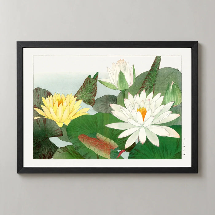 White and Yellow Water Lilies Art Print by Tanigami Kōnan