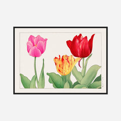 Striped Tulips — front view in a black frame