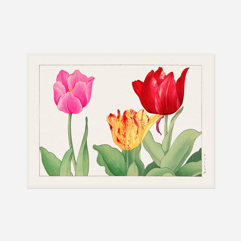 Striped Tulips — front view in a white frame