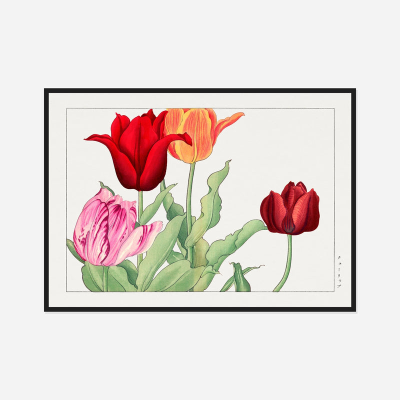 Red and Orange Tulips — front view in a black frame