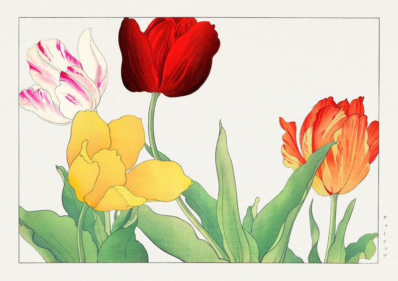 A Gathering of Tulips — finished print composition