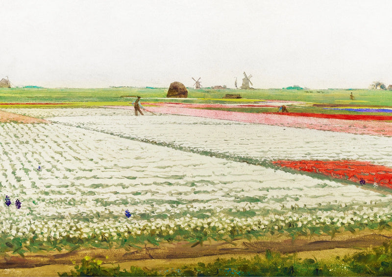 Rows of Tulips — finished print composition