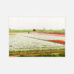 Rows of Tulips — front view in a white frame