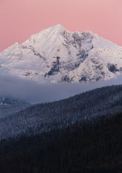 Gunsight Mountain at Dusk Photographic Print. Snow-covered peaks rise beneath a soft pink sky, with dark forest below