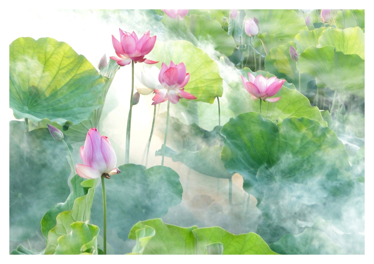 Lotus Summer Art Print. Pink lotus flowers emerge from a soft field of green leaves