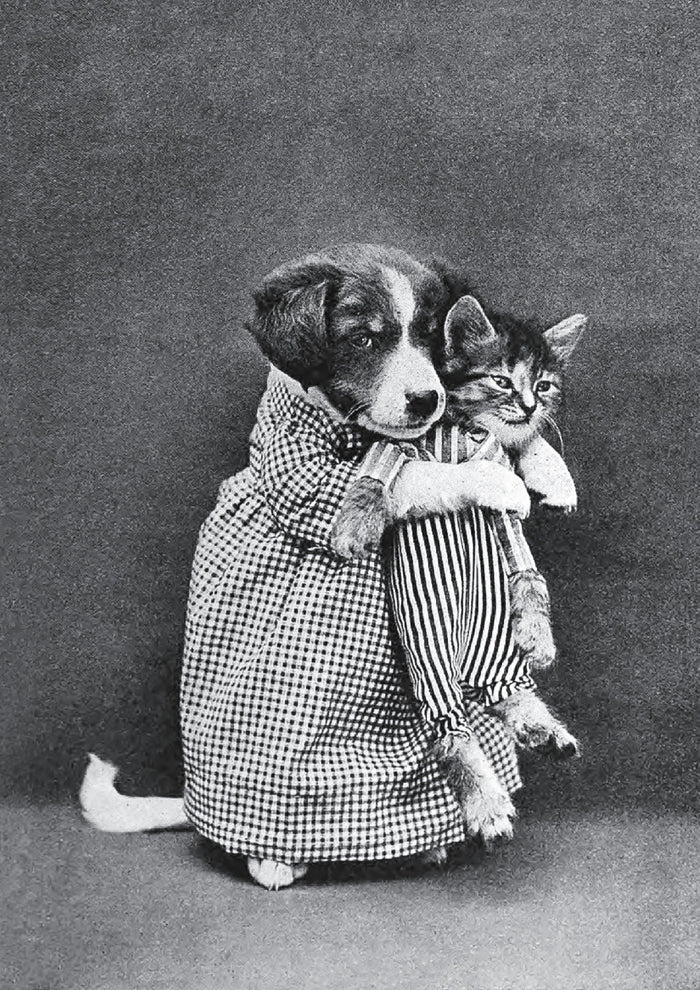 Miss Kindeyes Vintage Animal Print by Harry Whittier Frees (1915)