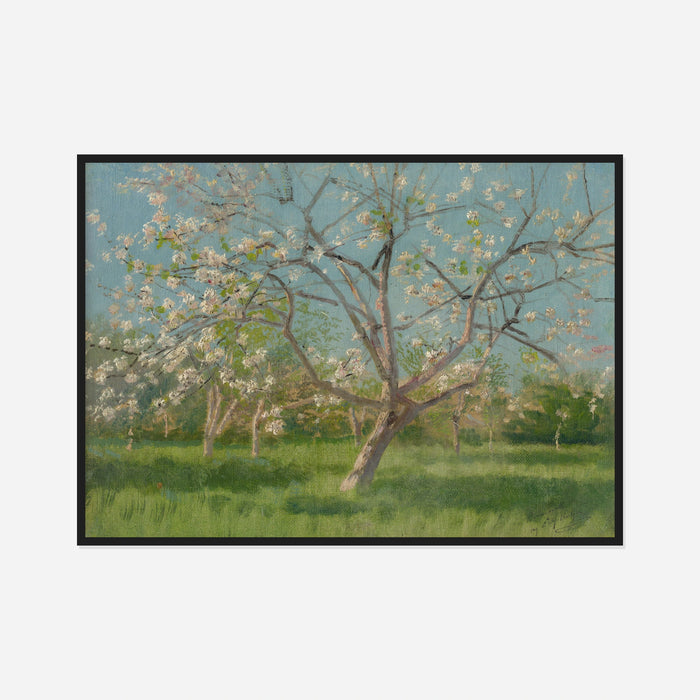 Orchard in Blossom Art Print