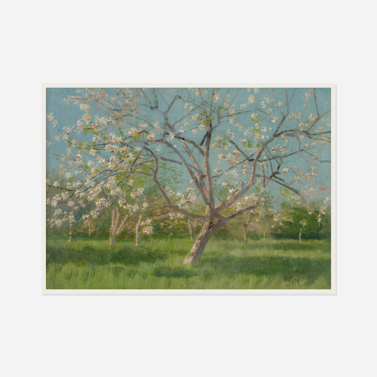 Orchard in Blossom — front view in a white frame