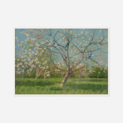 Orchard in Blossom — front view in a white frame