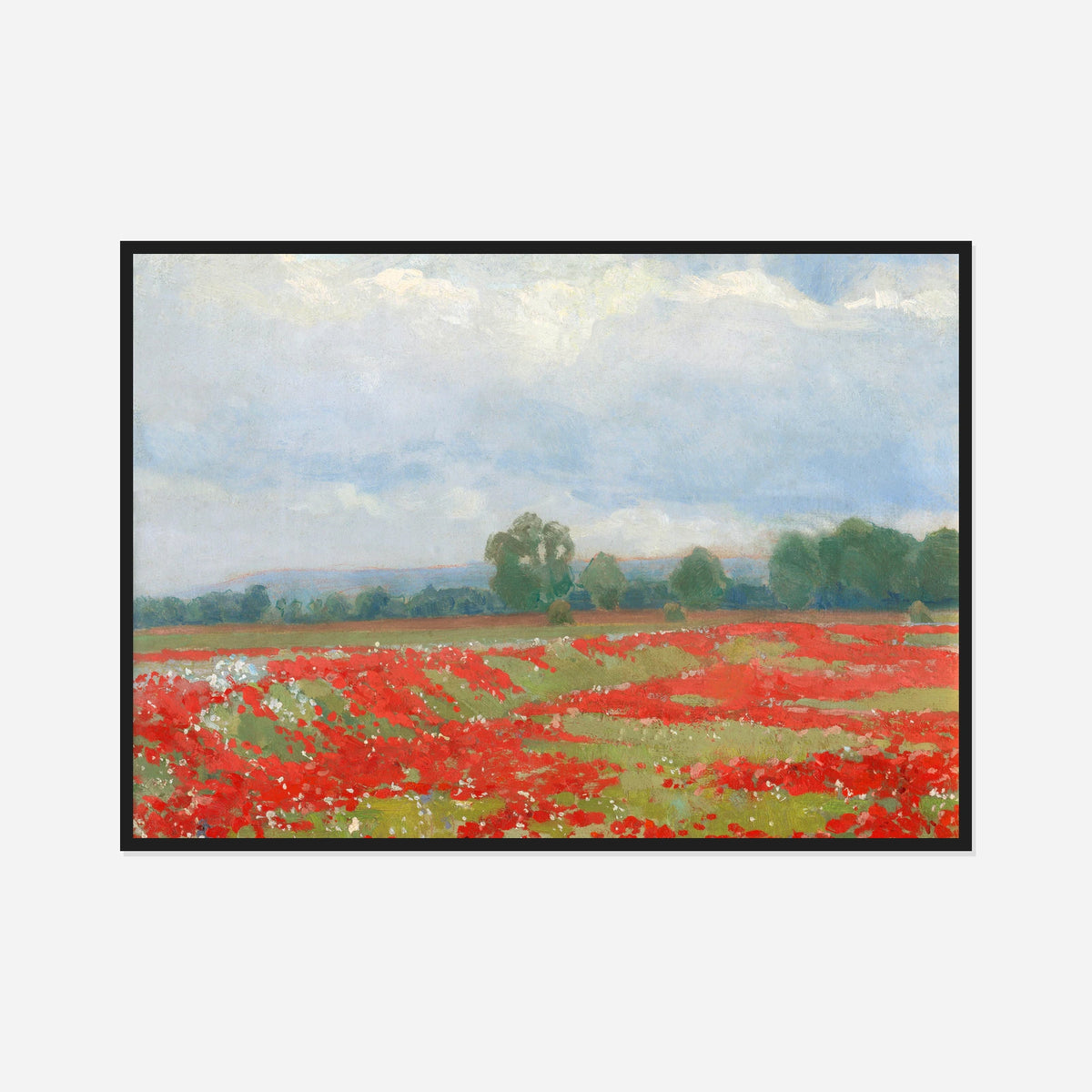 Red Poppy Field — front view in a black frame