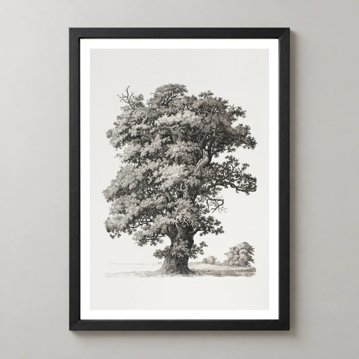 Studies after Nature Tree Art Print by S. H. Petersen