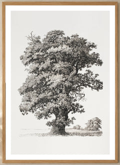Studies after Nature Tree Art Print by S. H. Petersen in a natural wood frame; close-up of the framed artwork.