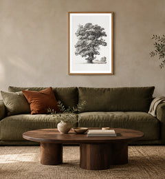 Studies after Nature — Tree in a natural wood frame above an olive sofa; styled living-room mockup