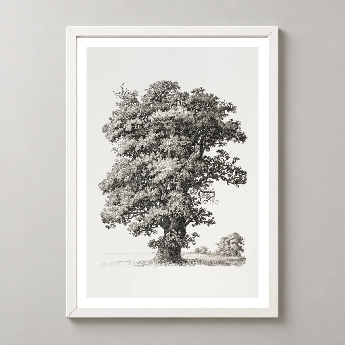 Studies after Nature Tree Art Print by S. H. Petersen in a white frame, front view