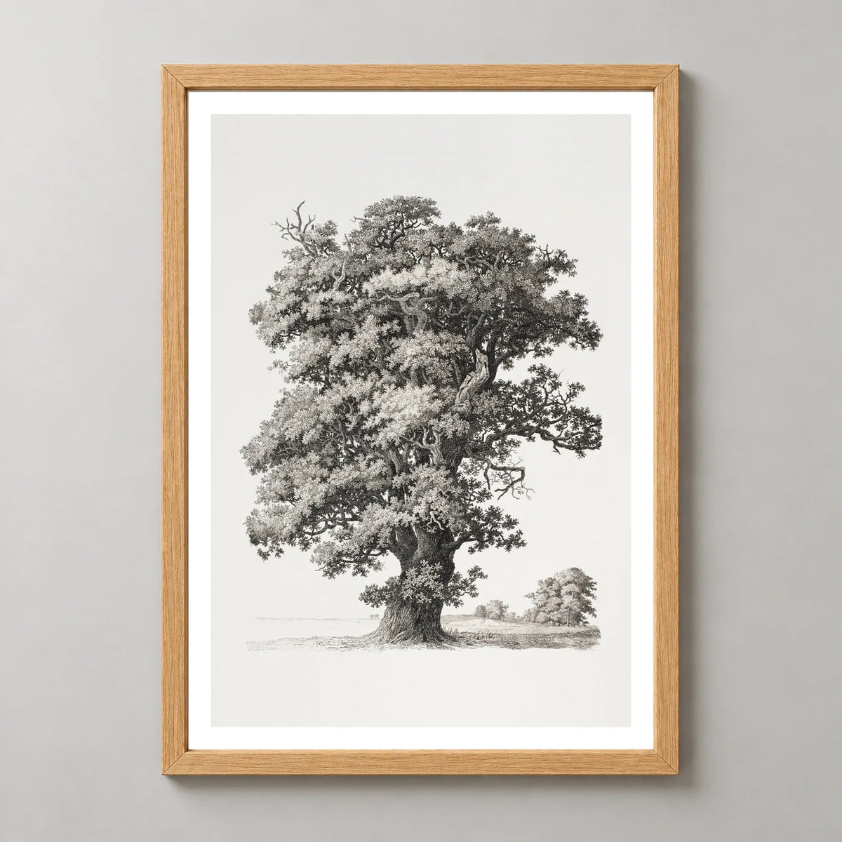 Studies after Nature Tree Art Print by S. H. Petersen in a natural wood frame, front view