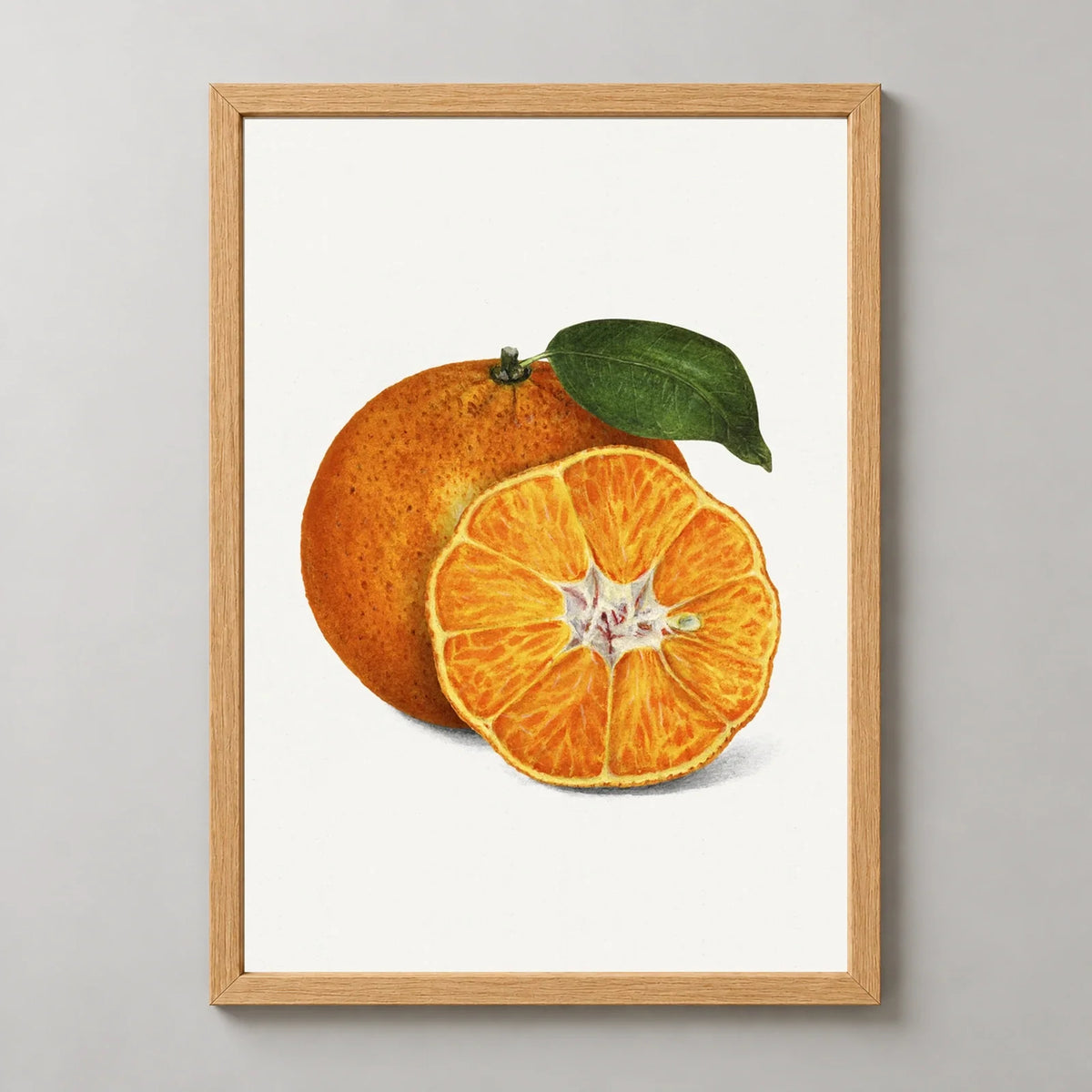 Tangerine Botanical Illustration Art Print in a natural wood frame, front view