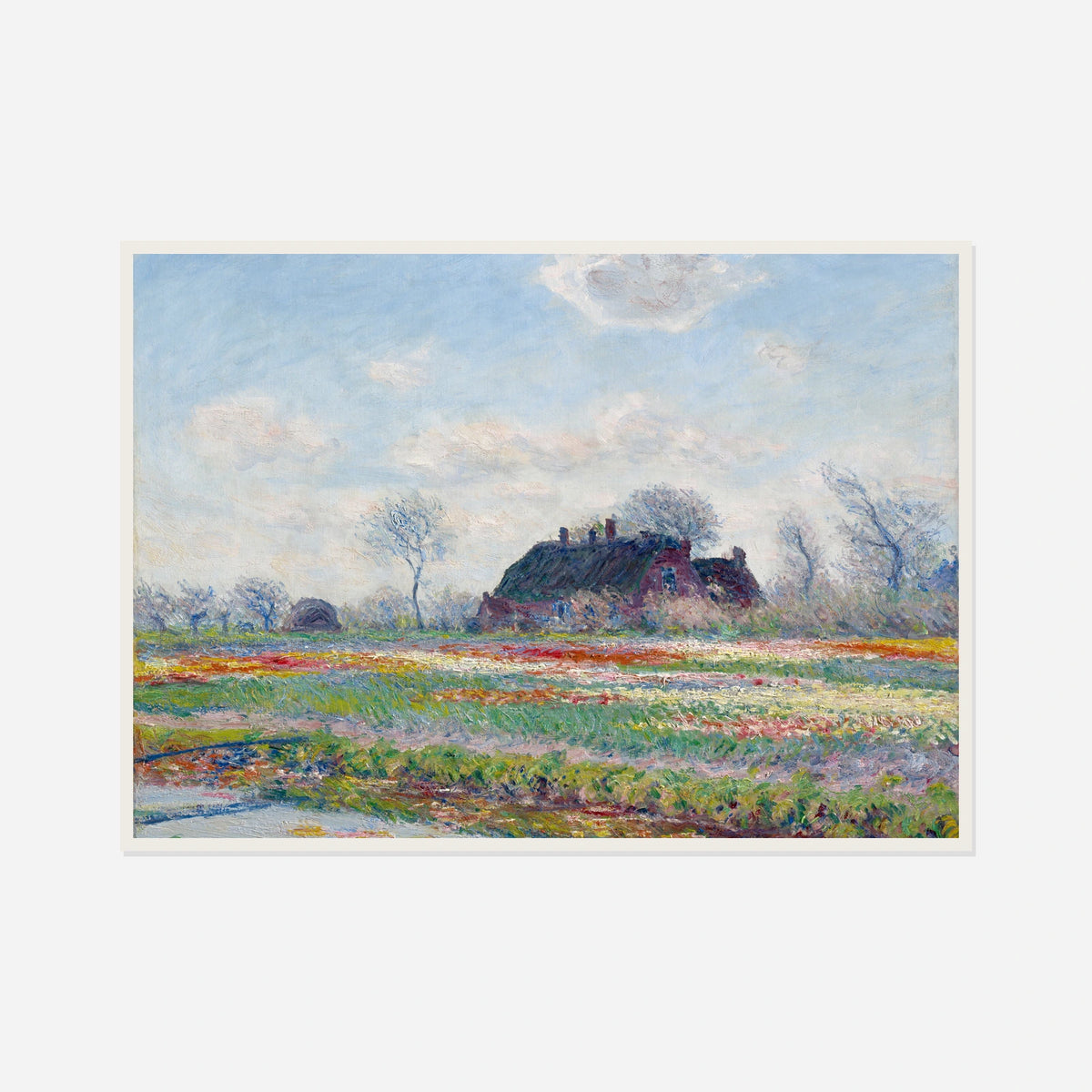 Tulip Fields at Sassenheim — front view in a white frame